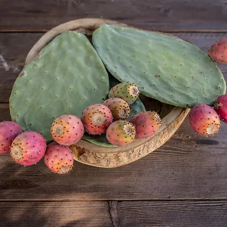 Trulli Mest'andrea Alle Lame 4*