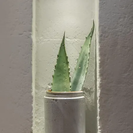 Aparthotel Trulli Mest'andrea Alle Lame 4*